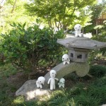 Kodamas-Japanese-Garden